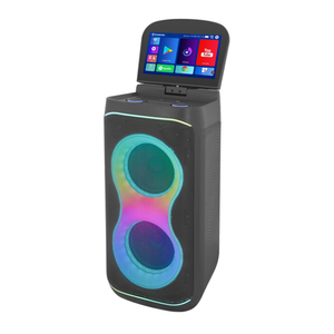 Diamond Venta caliente Dual 6,5 ''Woofer 2 vías 40W Potente recargable móvil Todo en uno Android 13 Máquina de <span class=keywords><strong>karaoke</strong></span> en casa para niños - Product Image 4