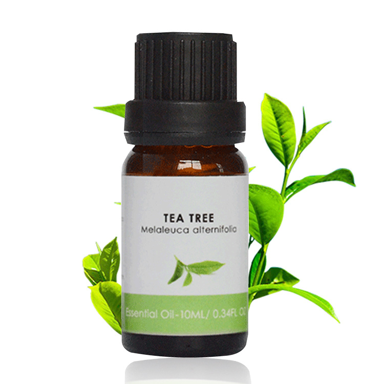Китайский поставщик, частная торговая марка, 100% натуральное эфирное масло для контроля жирности чайного дерева