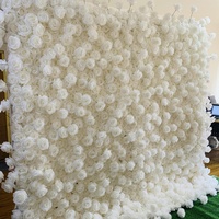 Mur de fleurs artificielles en tissu de soie blanc de qualité supérieure, toile de fond pour mariage et remise de diplôme, 240x120cm