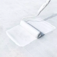 Peinture liquide imperméable en silicone, revêtement en spray imperméable pour toiture métallique, vente chaude directe usine