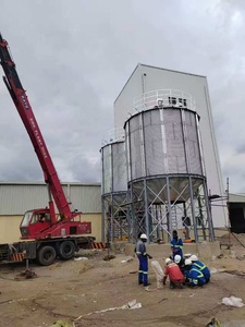 Systèmes de silos à grains de qualité supérieure pour entrepôts commerciaux, usines et stockage agricole disponibles à prix réduit - Product Image 3