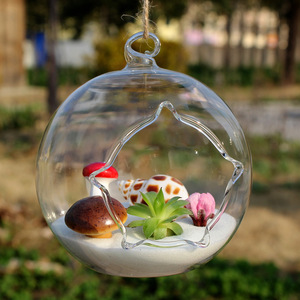 Vase en verre paysage mousse suspendu flacon succulent bricolage décoration de bureau en pot - Product Image 3