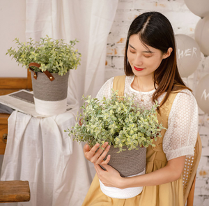 Flores Secas Naturales, Ramo de Hierba de <span class=keywords><strong>Pampas</strong></span>, Phragmites Reales, Decoración Boho <span class=keywords><strong>Chic</strong></span> para Bodas y Fiestas, Plantas Secas al por Mayor - Product Image 4