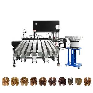도매 100% 자연 영양 신선한 원시 호두 껍질 대량 모양 색상 분류기 고정밀 스테인레스 스틸 분류 기계 - Product Image 1