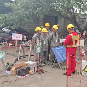 Poste de transformation monophasé/triphasé 110 kV pour l'alimentation électrique des centres de données en milieu domestique - Product Image 5