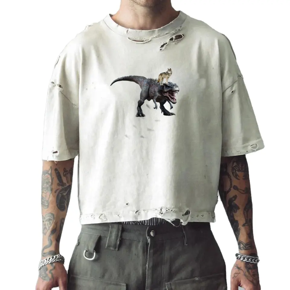 Custom Logo Zwaargewicht Streetwear Blanco T-Shirts Pour Hommes Vintage Gewassen Heren Boxy Cropped Oversized Distressed T-Shirt