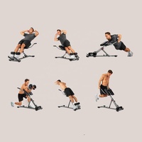 Produits nouvellement libérés chaise romaine Fitness banc d'haltères chaise romaine équipement de Fitness