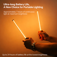 Lampe d'ambiance LED en métal haut de gamme à effet respirant, alimentation CC, contrôle par interrupteur, température multicolore, lumière moderne minimaliste, garantie 1 an