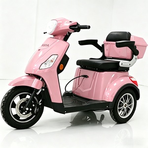 Triciclo Elettrico per Anziani 2026 OEM ODM con Pneumatici Larghi, Tre Ruote e Due Posti - Product Image 1