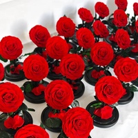 Offre Spéciale : Rose Éternelle Faite à la Main, Cadeau Créatif Modèle Petit Prince PB, Idéal pour la Saint-Valentin et Noël