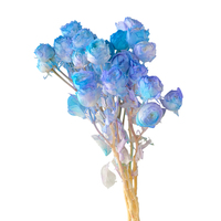 Konservierte Blumen Zweifarbige Farbverlauf-Rosen mit 50-60cm Stiel zur Dekoration