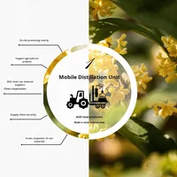 CO2 organique supercritique haute qualité aromathérapie pure soins de la peau matière première unique en gros chine osmanthus huile essentielle