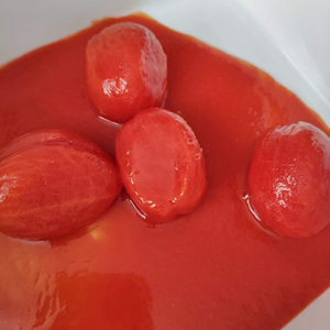 Bán buôn Đóng Hộp Cà Chua dán 30% Brix 70g * 50tins dễ dàng mở - Product Image 3