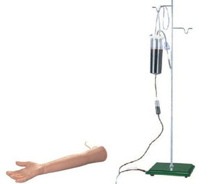 แขนหุ่นฝึกฉีดพีวีซีทางการแพทย์สำหรับนักศึกษาพยาบาลที่มีการเจาะหลอดเลือดการเจาะเลือดการเจาะเลือดและการฝึกเข้ากล้ามเนื้อ - Product Image 4