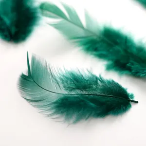 Feather Wholesale Craft DIY Loose Bulk Pack Colorful Small Hen Feather For Ornament Making Chicken Feather 10g/bag