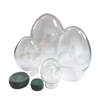 Globes à neige DIY écologiques, en verre transparent, forme ronde, dôme, décoration d'intérieur originale et idée cadeau