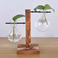 Vase en verre borosilicate de haute qualité, micro-paysage hydroponique créatif, support de fleurs, décoration, bonsaï charnu
