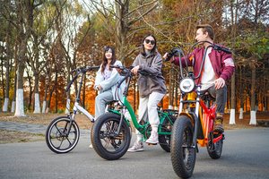 Bicicletta Elettrica Urbana con Motore Bafang 1000w, E-Bike 26'' per Neve e Spiaggia, Campione Disponibile - Product Image 2
