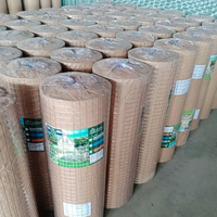 Rouleau de treillis soudé galvanisé à chaud, treillis métallique soudé pour clôture de terrain agricole