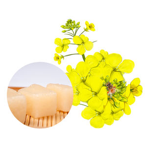 120 G Tíbet Origen <span class=keywords><strong>Canola</strong></span> <span class=keywords><strong>Miel</strong></span> Bolsita <span class=keywords><strong>Miel</strong></span> Precio Buena Naturaleza <span class=keywords><strong>Miel</strong></span> - Product Image 5