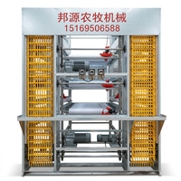 Nouveau système de cages à poules pondeuses entièrement automatiques de type H BANGYUAN AUH-650 avec alimentation automatique et collecte des œufs, galvanisation à chaud