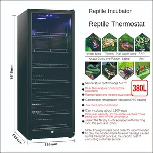 OEM incubatore automatico semi piante incubatore rettile uovo tartaruga serpente incubatore termostatico