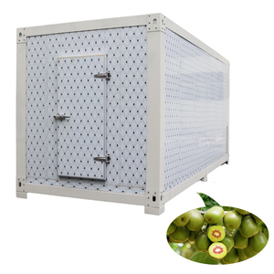 Kho lạnh <span class=keywords><strong>container</strong></span> 20ft/Phòng lạnh 40ft trong kho lạnh <span class=keywords><strong>container</strong></span> lạnh - Product Image 2