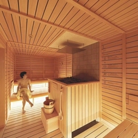 Desain Modern Panel Kontrol Komputer Inframerah Jauh Uap Kering dan Basah untuk Sauna Tradisional Luar Ruangan 2 hingga 6 Orang