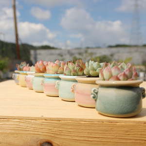 Vasi per Piante Grasse in Ceramica Eco-Friendly Leggeri e Durevoli con Effetto Craquelé, Due Manici, Piccoli Vasi Creativi per Piante - Product Image 4