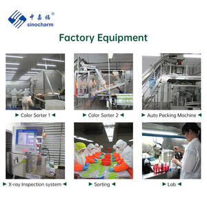 Sinocharm ผักแช่แข็งพืชใหม่ 7-9 ซม. 500 กรัม BQF ดอกไม้เรพซีดแช่แข็งพร้อม HACCP - Product Image 4