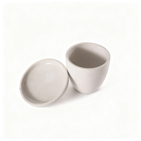 Crisol de Porcelana Esmaltada de Alta Calidad, Resistente a Ácidos y Descomposición a Altas Temperaturas, para Experimentos Científicos en Casa