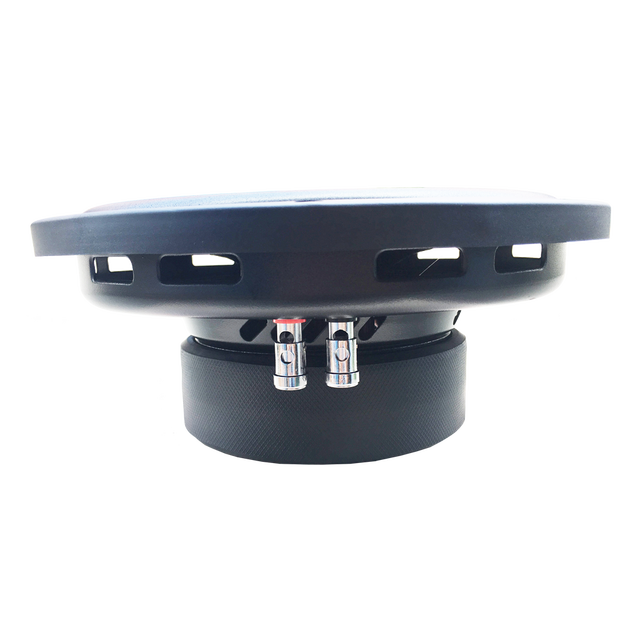 Shallow Mount Truck Subwoofer for Compact Low Profile Box 10inch 12inch