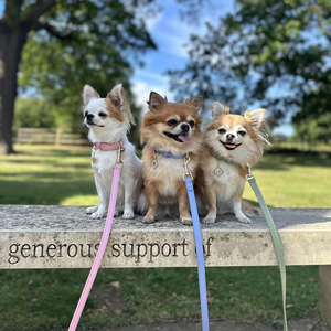 Konfor hissediyorum kolu özel renk turuncu pembe deri Pet kurşun yaka Set lüks el yapımı zanaat yüksek kaliteli deri köpek tasma - Product Image 5