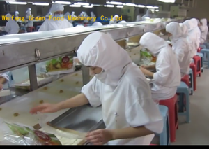 Gıda fabrikası için büyük kapasiteli sigara böreği deri makinesi somosa yapma makinesi - Product Image 2