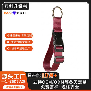 Cordons personnalisés en nylon haute densité avec clip pour téléphone, accessoire de couture multicolore, personnalisation par le fabricant d'origine - Product Image 4