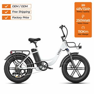Vélo Léger 20 Pouces avec Batterie Lithium 48V13Ah, Moteur 250W, Pneus Larges, 7 Vitesses, Vélo de Ville OEM L20 ENGWE L20 Entrepôt UE - Product Image 5