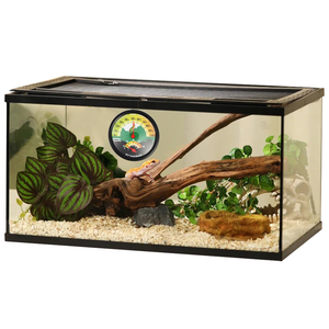 KT Thermo bò sát Nhiệt kế ẩm kế cho hồ cạn vivarium thằn lằn bể nhiệt độ độ ẩm đo - Product Image 4