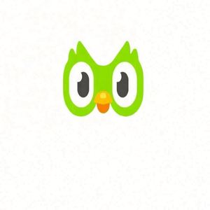 <span class=keywords><strong>Compte</strong></span> Premium Duolingo Pro <span class=keywords><strong>Edu</strong></span> 1 an Applicable dans le monde entier Activez votre propre <span class=keywords><strong>compte</strong></span> - Product Image 2