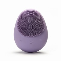 Ensemble de brosses nettoyantes faciales électriques sans fil en silicone imperméable à l'eau pour le visage Sonic en gros