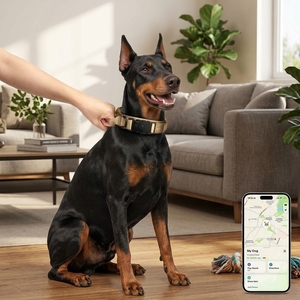 Collier GPS intelligent Apple Find My pour chien, ensemble de suivi tactique 6 en 1 pour animaux de compagnie, étanche pour la randonnée et l'entraînement - Product Image 3