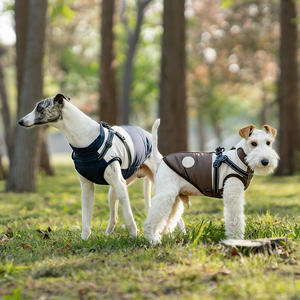 Personalizable de lujo estilo perro Jcaket impermeable a prueba de viento galgos ropa Golden Retrievers gatos franceses perfecto poliéster - Product Image 6