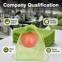 Groene fruitbeschermingszakken Herbruikbare plantenbeschermingshoes voor sinaasappels, appels, druiven, ongedierte, vogels, zon, regenbescherming, tuin, boomgaard