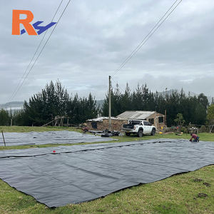 Géomembranes comme revêtements miniers pour les systèmes de confinement des plateaux de lixiviation en empilage, revêtement de systèmes de lixiviation en empilage pour l'extraction de l'or - Product Image 5