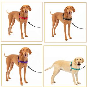 <span class=keywords><strong>Harnais</strong></span> pour chien Martingale réglable en nylon pour animaux de compagnie Contrôle facile <span class=keywords><strong>Harnais</strong></span> personnalisé sans <span class=keywords><strong>traction</strong></span> pour chiens de taille moyenne à grande - Product Image 4