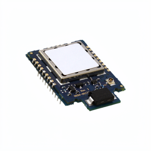 RM024-P125-M-01 โมดูลรับส่งสัญญาณ RF และโมเด็ม บริการครบวงจรแบบดั้งเดิม - Product Image 1