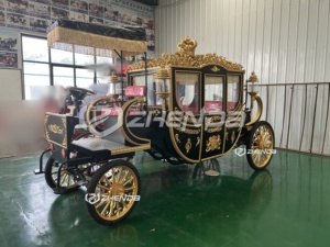 รถม้าไฟฟ้าสีดำทองประดับพู่ห้อยหลังคา - Product Image 6