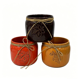 Nouveauté 2026 : Pots de fleurs <span class=keywords><strong>en</strong></span> céramique à motif feuilles gaufrées, thème automne, vente directe usine, pour jardinage domestique, balcon et <span class=keywords><strong>d</strong></span>écoration de Thanksgiving - Product Image 5