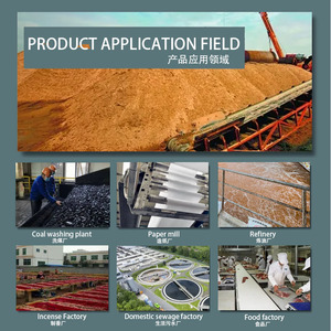 Producto de Venta Directa de Fabricante Profesional de Tratamiento de Agua, Cloruro de Polialuminio PAC, Agente de Purificación de Agua - Product Image 3
