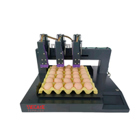 Machine de codage automatique des œufs WECARE, imprimante à jet d'encre pour la date de production, le numéro de série, le codage des produits à base d'œufs