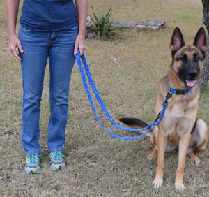 2026년 신제품 튼튼하고 세련된 동물용 블루 컬러 합금 애완견 목줄 핸즈프리 와이드 워킹 리쉬 내구성 강한 개 목줄 - Product Image 4